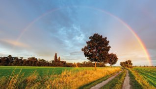 Regenbogen © TTstudio-fotolia.com