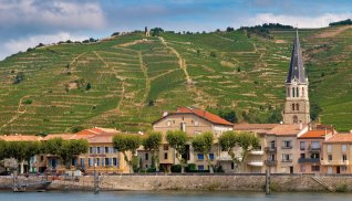 Weinberge an der Côtes du Rhône © creativenature.nl-Fotolia.com