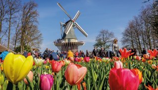 Windmühle auf dem Keukenhof © Keukenhof Holland