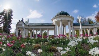 Carolinenquelle in Marienbad
 
 © vanGeo - stock.adobe.com