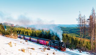 Winterland Harz  © Fokke Baarssen - stock.adobe.com