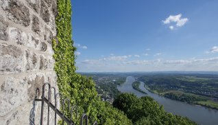 Blick vom Drachenfels auf den Rhein © Tobias Arhelger -fotolia.com